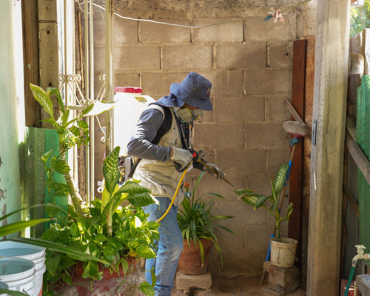 Intensifica Gobierno de Sonora acciones de control del Dengue en el estado