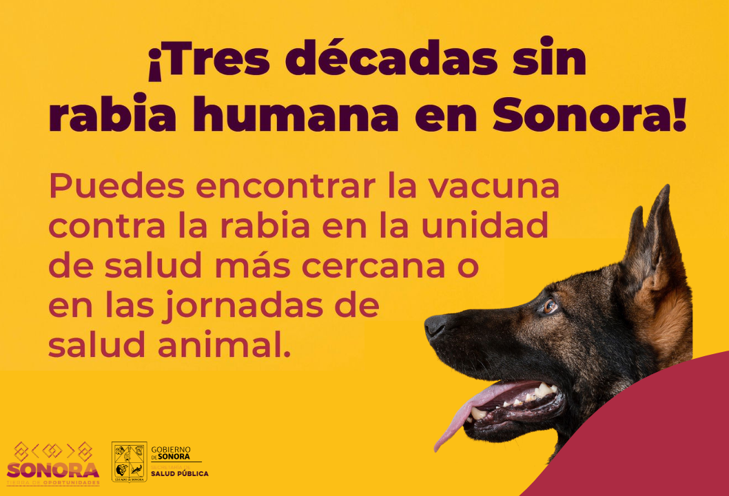 Llama Salud Sonora a vacunar a mascotas contra la rabia