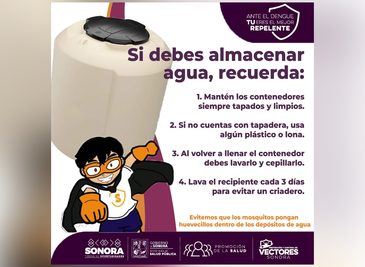 Sonora con seis semanas sin casos positivos de dengue