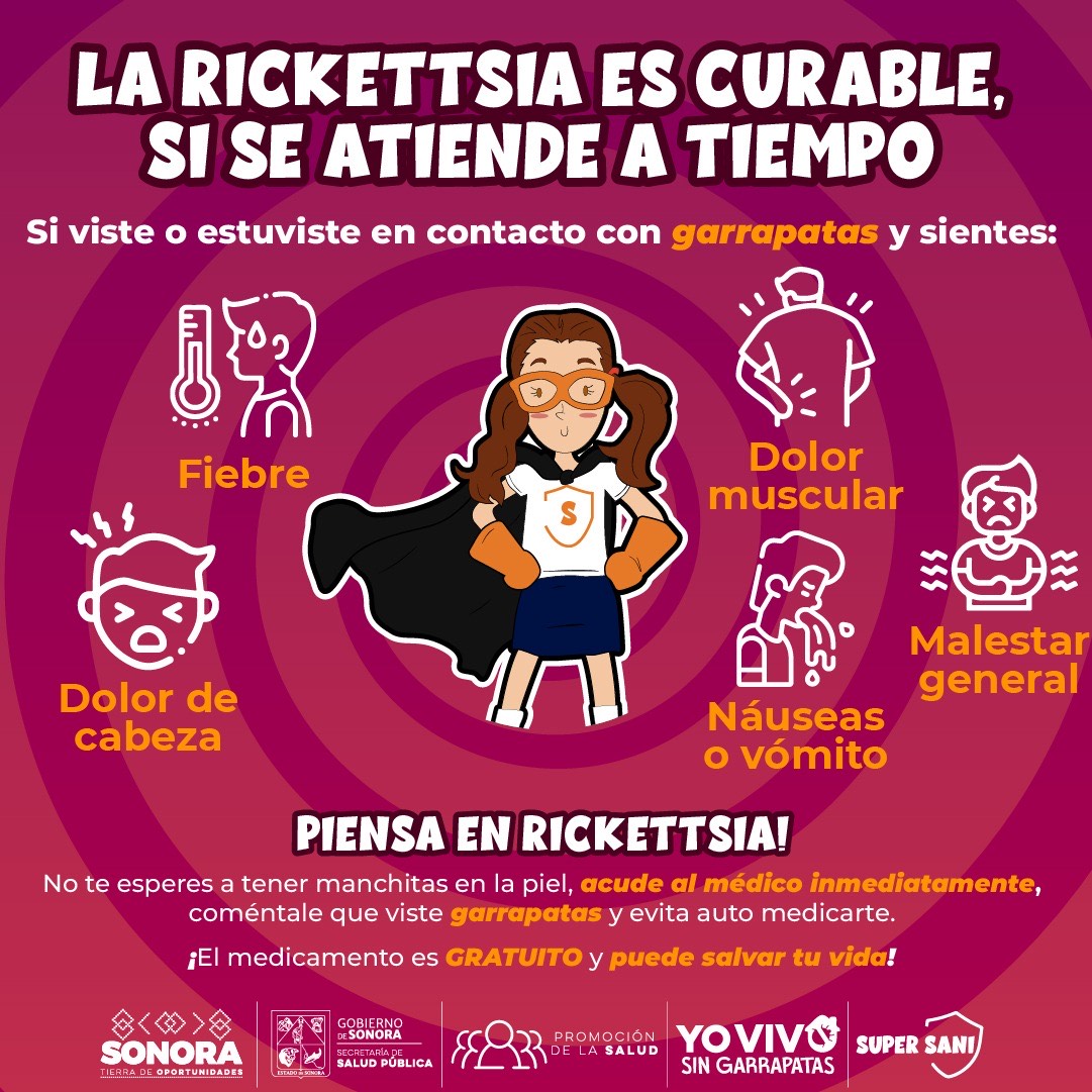 Salud Sonora llama a ciudadanía a trabajar en conjunto para prevenir la rickettsiosis